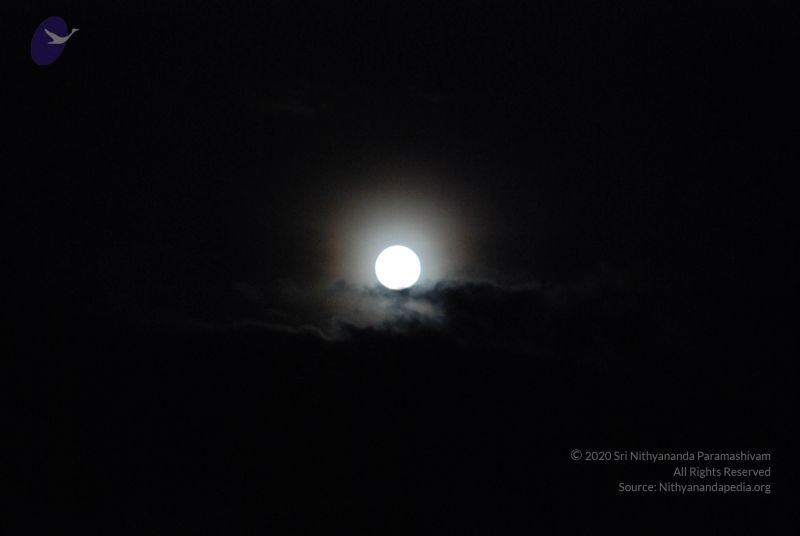 File:20090904 Photo 1023 1r3w4kv1NNx-yPAdgSVxH4L1Lg6OGyIej.JPG