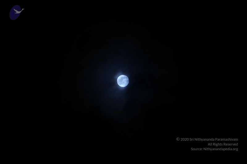 File:20090904 Photo 1037 14M8LsqbCo0ObVxHeOsO6CokU4M RvCjg.JPG