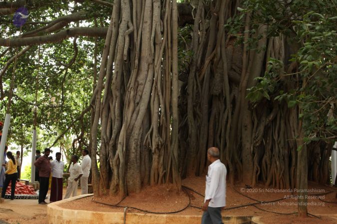 20090905 Photo 1009 168NNlte7b1Sl39ZXHTBhHbMS2Q2HL0DA.JPG