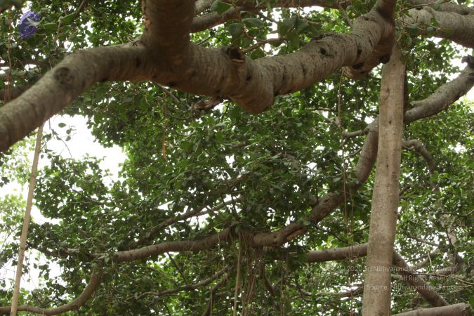 20090905 Photo 1015 1-9eHYZUI5~llOJwLSaxd4umyeLjOGdr.JPG