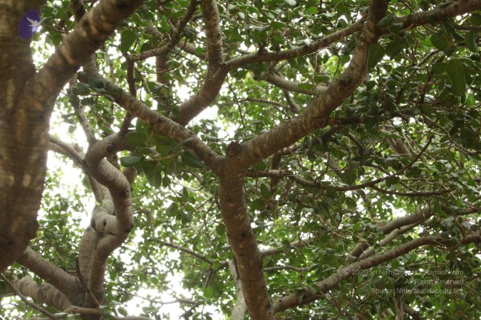 20090905 Photo 1021 1Y MXTlkOPUQcGfKmodlA-gv6JLcoXIhT.JPG