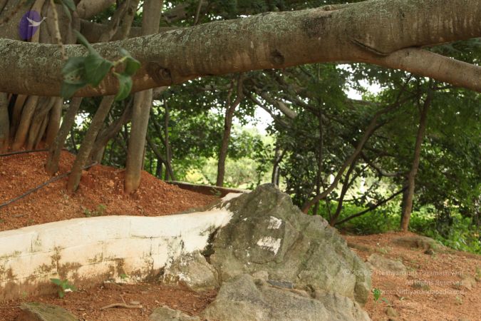 20090905 Photo 1059 1nIT94piCd2vFtH50qFFSTdlPiWL5PRhe.JPG