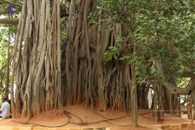 20090905 Photo 1073 1fCusMVTtWF0BgB- aV2 TtNGK0O2pZvk.JPG