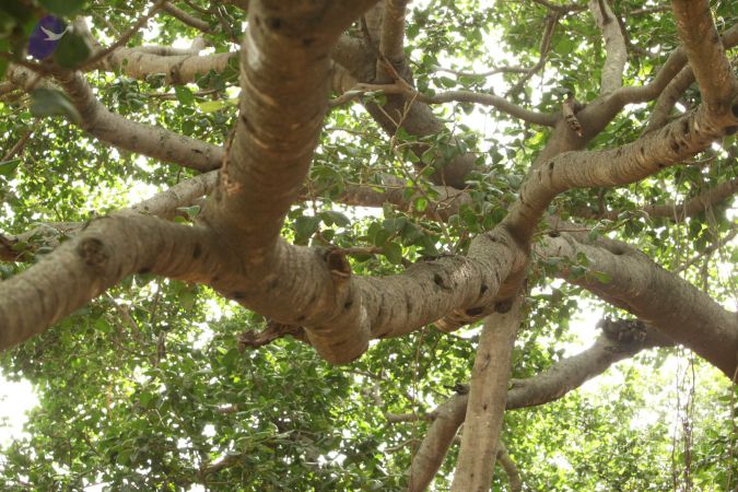 20090905 Photo 1082 1c4SdnCgVTdGUV54PVmJS1wahOV6NgcTB.JPG