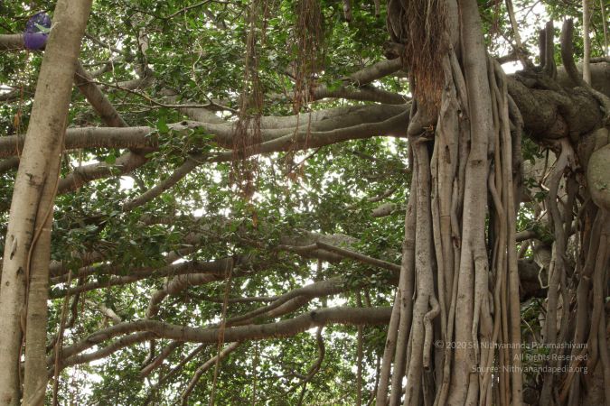 20090905 Photo 1092 11EfEaTzdSfhJ15A4C4h1788xQ6eILCcd.JPG