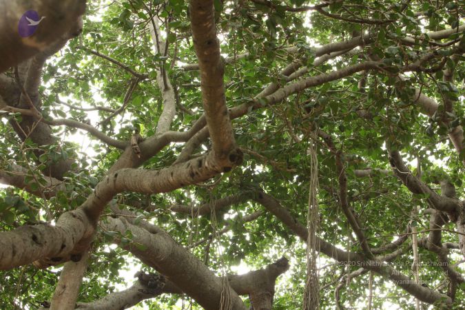 20090905 Photo 1094 190N9B4-MeOHk6oeOrnrxVI6mHC 23MdU.JPG