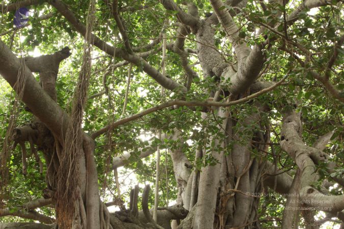 20090905 Photo 1099 1zNDaNadO4JO0kjtn34mNBts2b X7NvYT.JPG