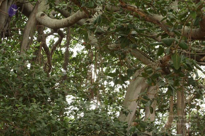 20090905 Photo 1110 1zHY6v7n9FIi3l2y6k6mtFpXLy80heeBG.JPG