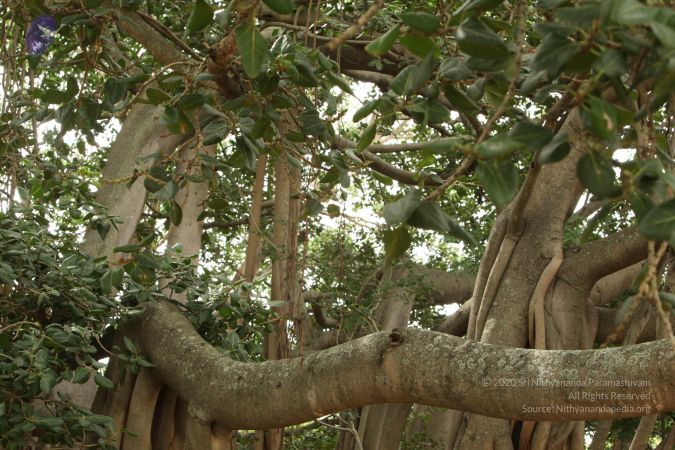 20090905 Photo 1115 1zgnmZIUv695igmqyllSMeFcnAEiIVzTP.JPG