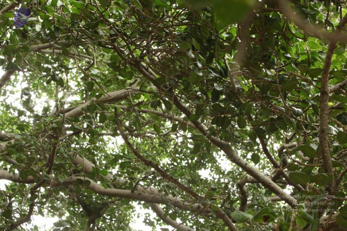 20090905 Photo 1118 1Ie48oxT1wR1lfGyRLOY1N7qzpxive9sp.JPG