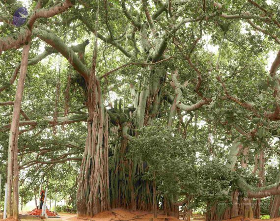 20090905 Photo 1125 1G2A4pkp2UBCEMTvqSvJuayexlJYIIE4W.JPG