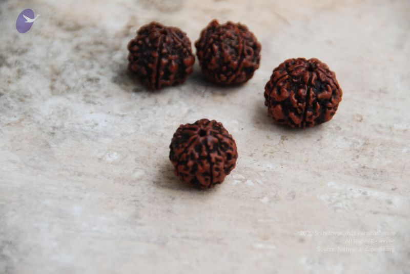 File:20090906 Photo 1098 1zBGU48KKqEW--7GJJPa9BQ5Ricfgfftm.JPG