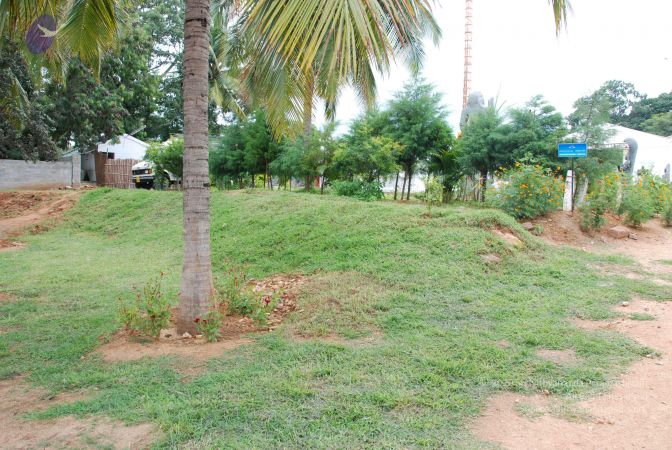 20090907 Photo 1114 1dJGYIg9407ltz8Pp UFe6VnjsmghwZRw.JPG