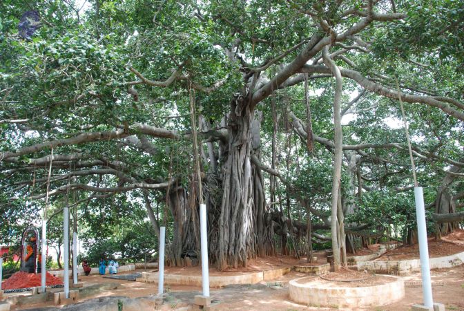 20090907 Photo 1118 1ShBH6q7RPslmKMQ-19i LJFGG96tVWUm.JPG