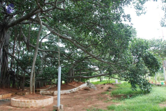 20090907 Photo 1119 1y7qCwtr8Py8Vjmjj QySyVewnGzT71hm.JPG