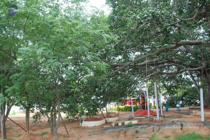 20090907 Photo 1126 1VkIvdBH0wGT2-E0eycISHAAWOm87-Q9m.JPG