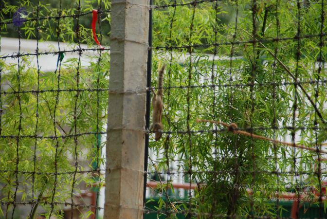 20090907 Photo 1138 1tEn0YkKQjYXU6S-hTTiAvS9uVV0LSAla.JPG