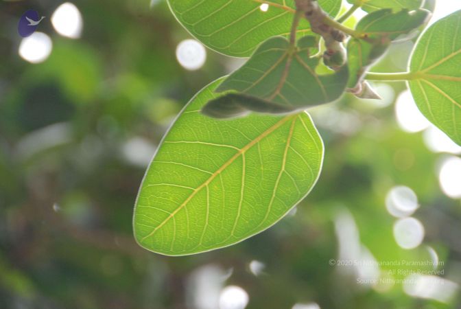 20090907 Photo 1142 1yM2cSUxyMlzg7nqJfcIhurbJTVTg-3hN.JPG