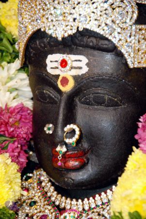 20090914 DSC 0329 CMP WM 0011.jpg