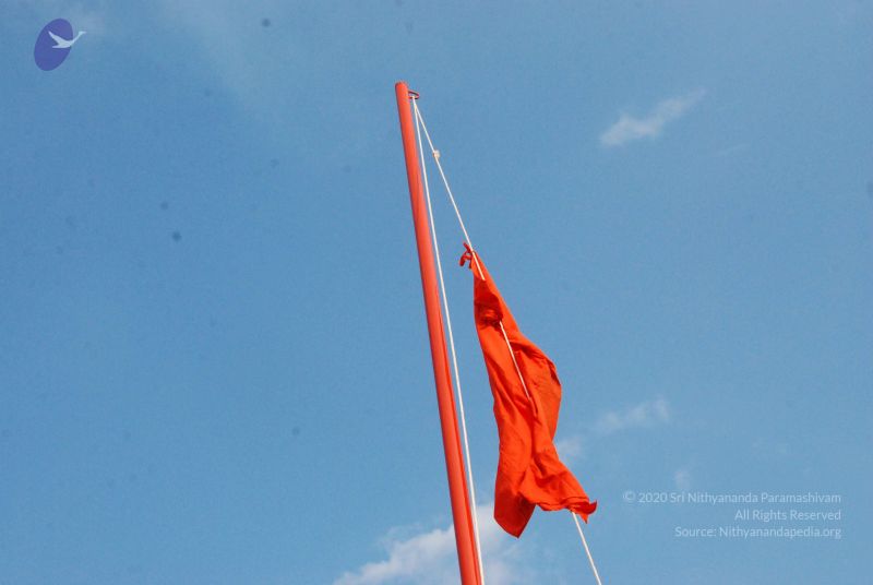 File:20090915 Photo 1023 11CdPCJ37zogTeccoa5BRjEzNglL6vFR0.JPG