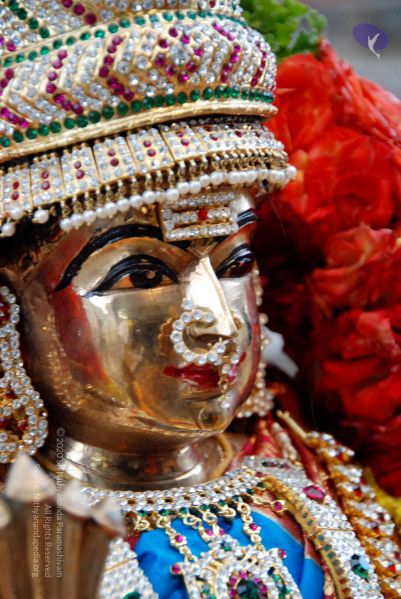 File:20090922 DSC 1643 CMP WM 0011.jpg