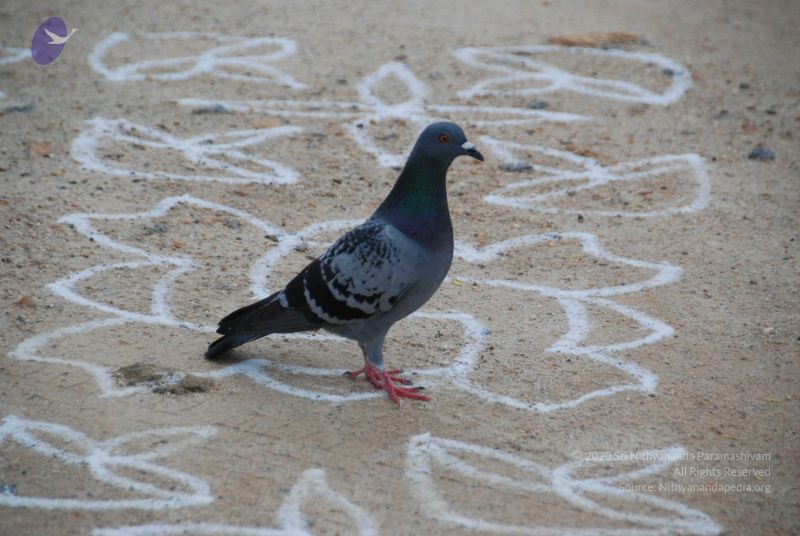 File:20090922 Photo 1056 1mARhNgZW1IWw3IQz-W9WuOMwjXjh0GYN.JPG