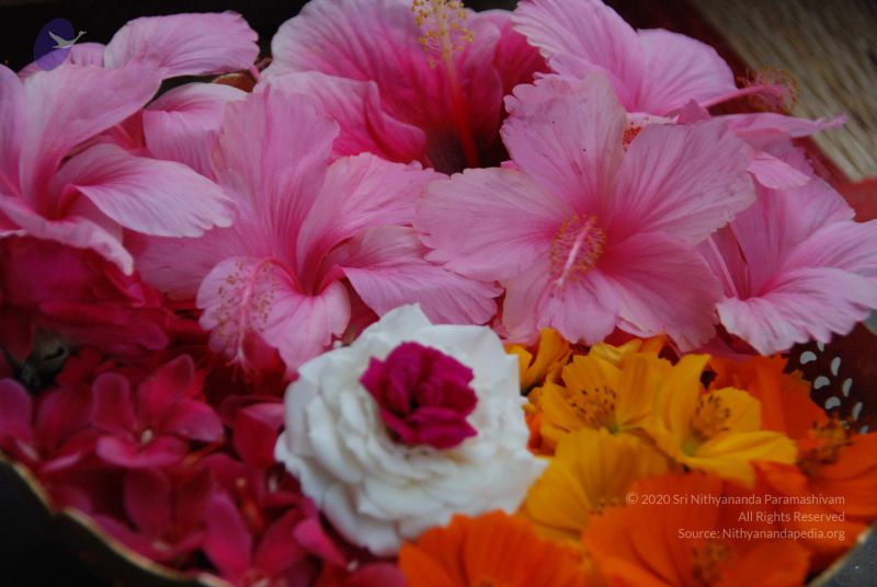 File:20090923 Photo 1002 1ix Hu-D6hCy2TW2ANplyGrNXFYBtx7dh.JPG