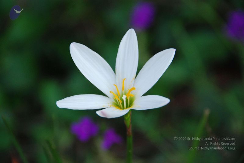 File:20090923 Photo 1018 1V-fkTjdMZy-1W0783bgS4U2Lb4f1qpaF.JPG