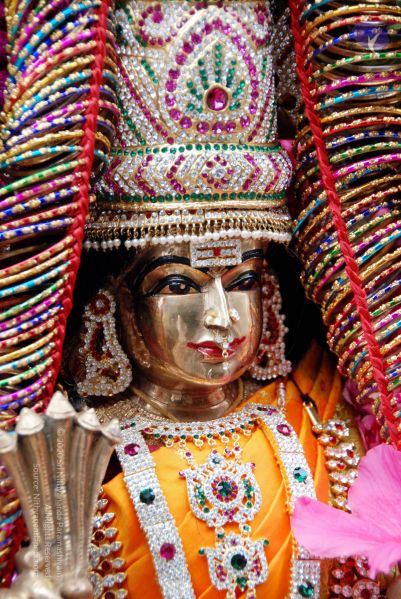 File:20090925 DSC 1876 CMP WM01.jpg