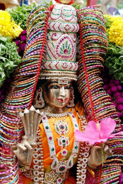 File:20090925 DSC 1877 CMP WM01.jpg