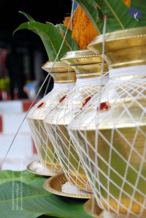 20090925 DSC 1921 CMP WM01.jpg