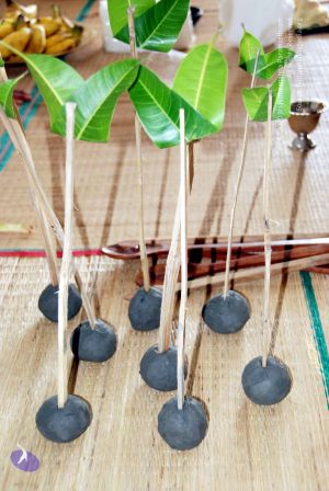 20090925 DSC 1940 CMP WM01.jpg