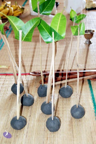 File:20090925 DSC 1940 CMP WM01.jpg