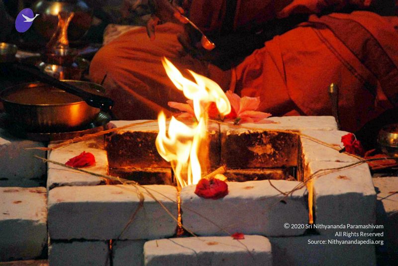 File:20090928 DSC 1843 CMP WM 0011.jpg