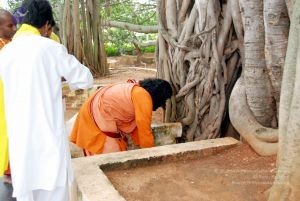 20090929 DSC 3170 CMP WM 0011.jpg