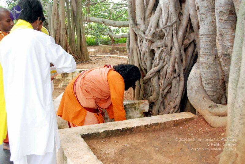 File:20090929 DSC 3170 CMP WM 0011.jpg