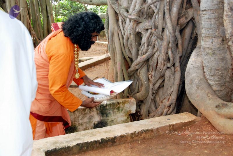 File:20090929 DSC 3171 CMP WM 0011.jpg