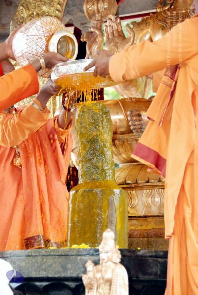 File:20090929 DSC 3205 CMP WM 0011.jpg