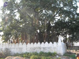 20091002 Photo 1021 18PHX7VrWAscvul9aSW5H5NxTVAcUpXhH.JPG