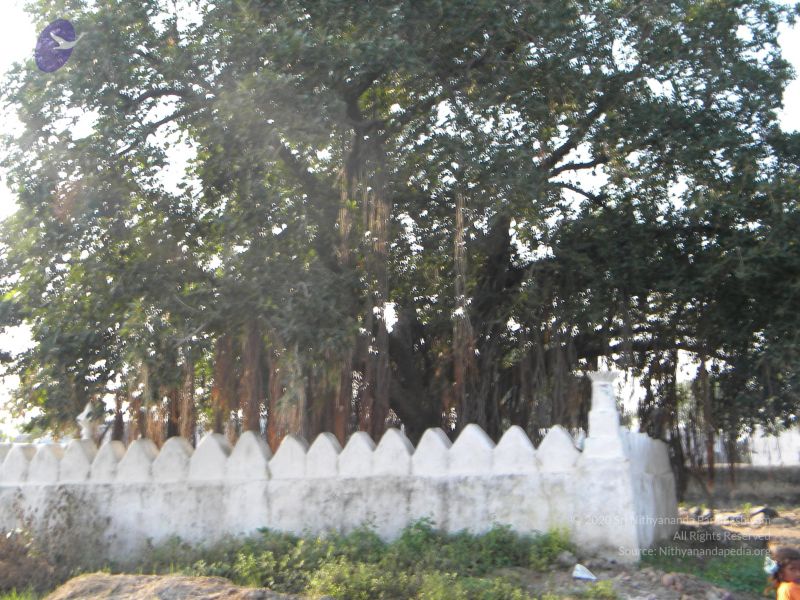 File:20091002 Photo 1021 18PHX7VrWAscvul9aSW5H5NxTVAcUpXhH.JPG