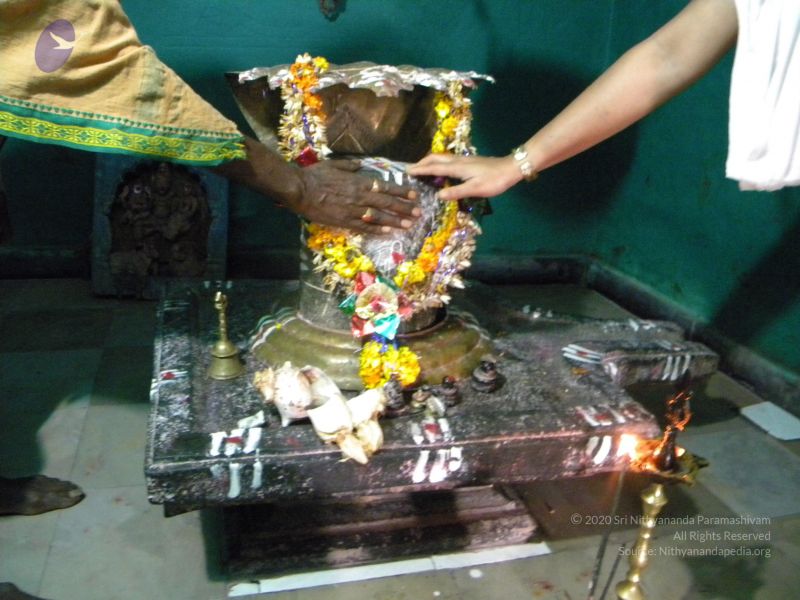 File:20091002 Photo 1026 14k7UJ7NN1vo1m1ti7E0MpIEfzu1W2-kx.JPG