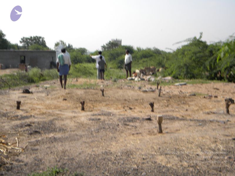 File:20091002 Photo 1041 1OmyywuW5oiidtSoimLNiX5hslMc--mfv.JPG