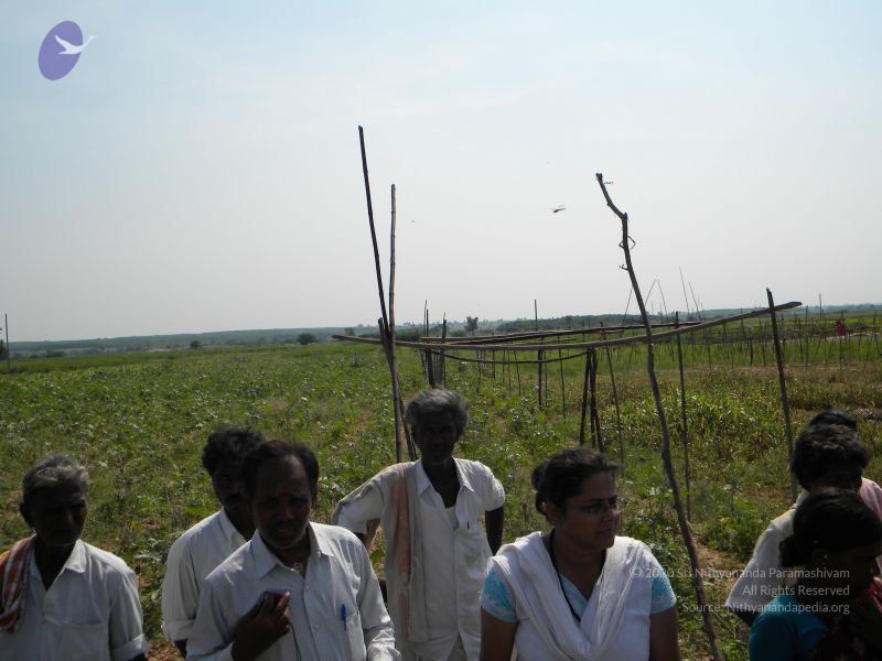 File:20091002 Photo 1049 1m0pusEgz04GYMoEE2jJflVhrjSR9yHtu.JPG