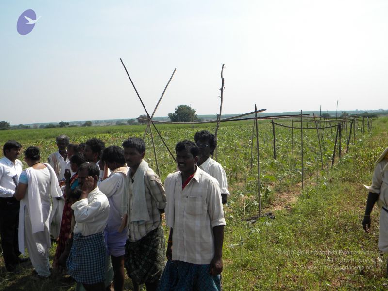 File:20091002 Photo 1051 11jwWGzxFehog3azUA89KpMWc2iRWi0JY.JPG