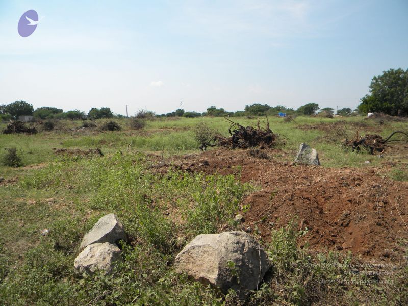 File:20091002 Photo 1076 1iK9KACExww8w4UgWOeHf-fiXs9MibwY8.JPG