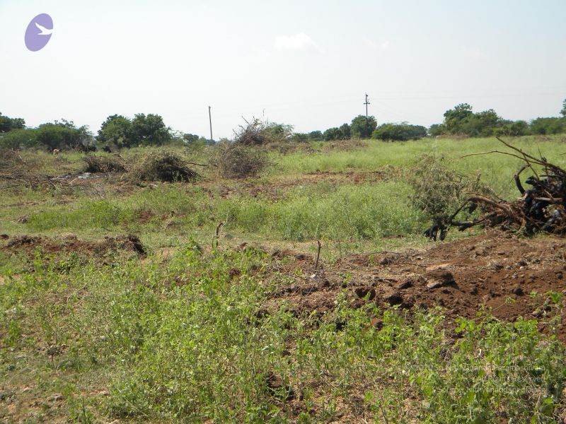 File:20091002 Photo 1077 1fyNXSwmag2anV87niG7Chuy5Uog1lFk0.JPG