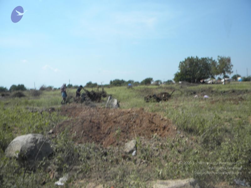 File:20091002 Photo 1078 1L-19-N1EmmsTzSbR1B4vMOeIVp-FJFg0.JPG