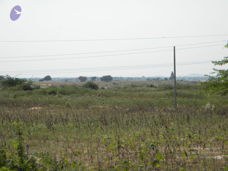 File:20091002 Photo 1088 1ZAMLXxROe1zLKrBmnS7cHvlVrzOORHlR.JPG