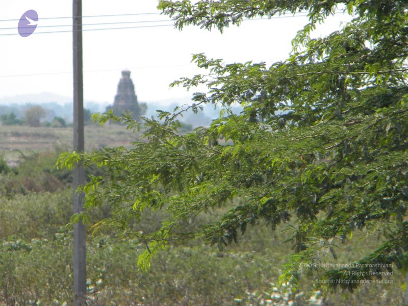 File:20091002 Photo 1089 1bILzV2oGMPftoW0uuHLoWJbpxDoRGJnc.JPG