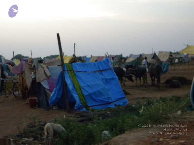 File:20091002 Photo 1097 1sUeoMG8-aHzjaW6TtLA2EWS7vwM3vaQR.JPG